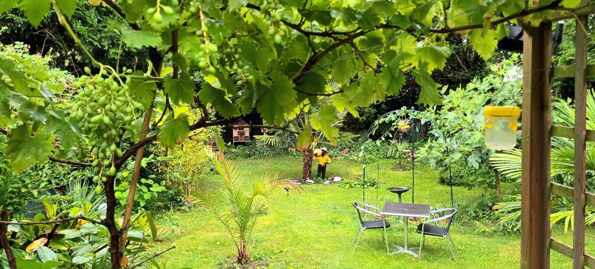 Gite Du Jardin Secret Сен-Валери-сюр-Сом Екстериор снимка